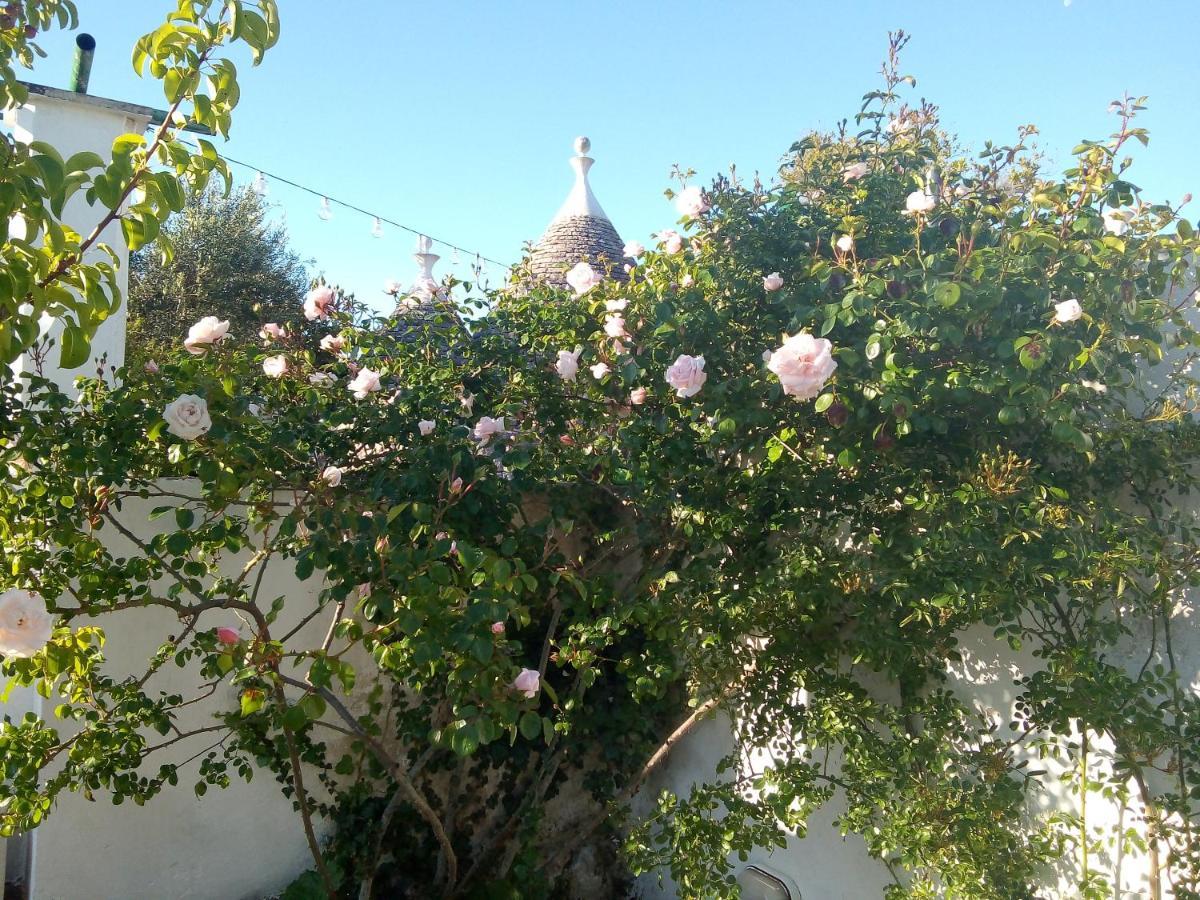 Trulli Di Ivana オストゥーニ エクステリア 写真