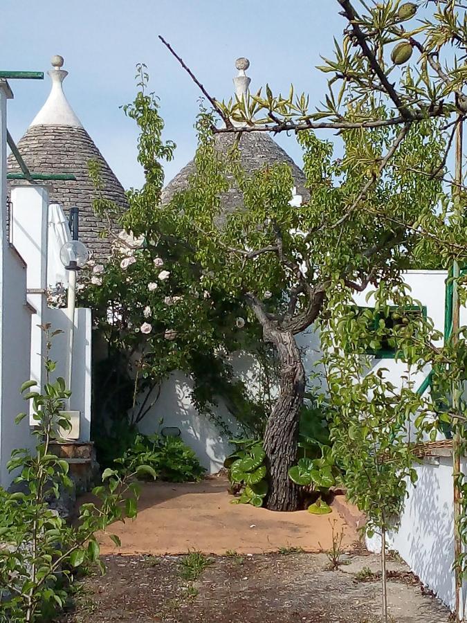 Trulli Di Ivana オストゥーニ エクステリア 写真